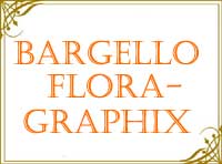 BargelloFloragraphix